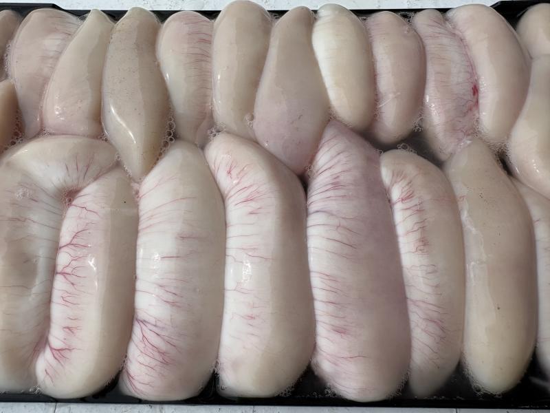 ふぐ釣り好調です！！3枚目