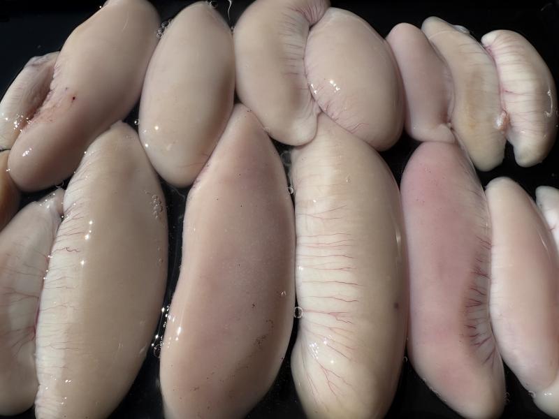 ふぐ釣り好調です！！2枚目