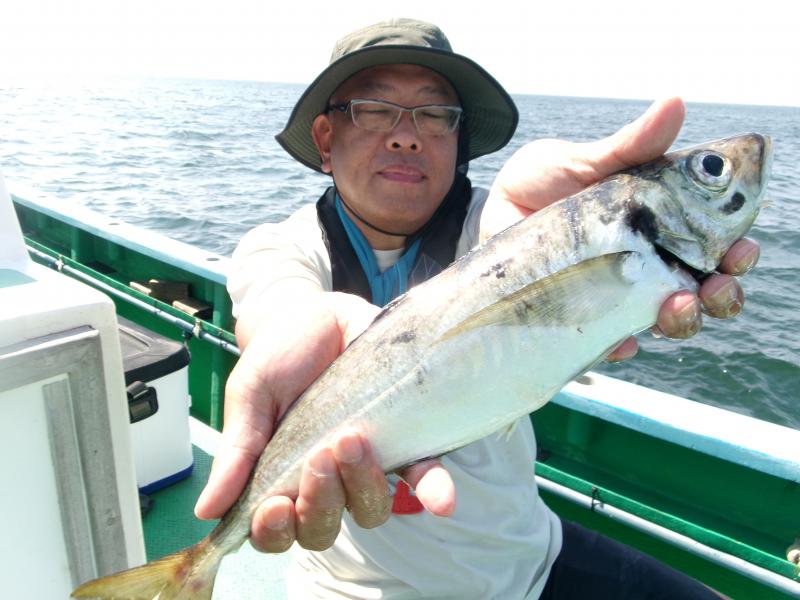 タチウオアジリレー釣り3枚目