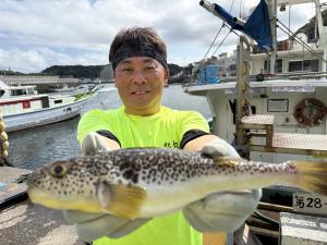 ふぐ釣り