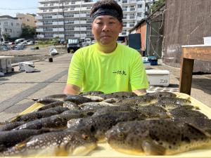 ふぐ釣り好調です！！