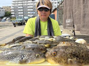 ふぐ釣り好調です！！