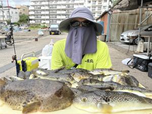 ふぐ釣り好調です！！