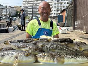 ふぐ釣り好調です！！