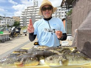 ふぐ釣り好調です！！