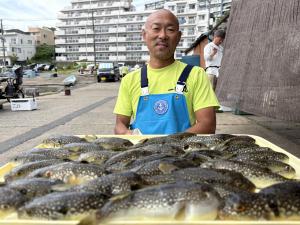ふぐ釣り好調です！！