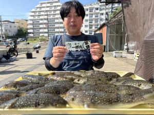 ふぐ釣り