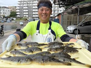 ふぐ釣り