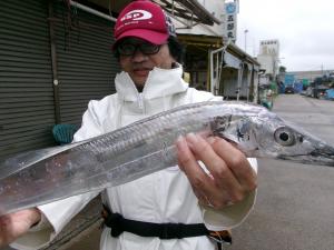 タチウオアジリレー釣り