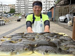 ふぐ釣り好調です！！