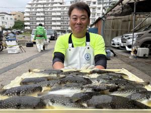 ふぐ釣り好調です！！