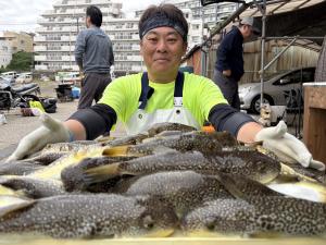 ふぐ釣り好調です！！