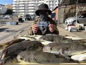ふぐ釣り好調です！！