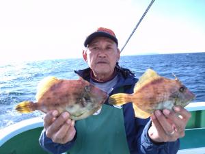 カワハギ釣り